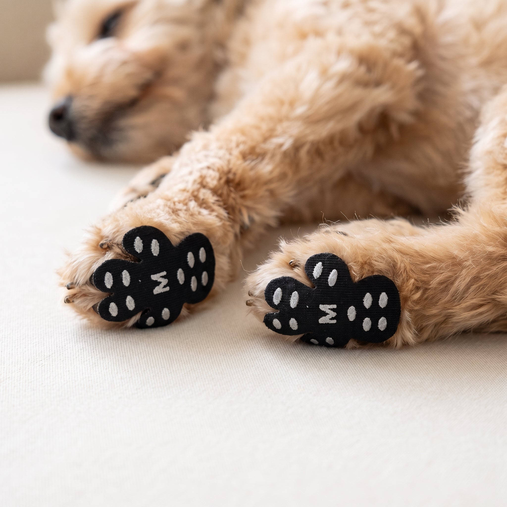 Paw Protectors